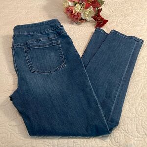 CHICO’s Pull On Jegging | Blue| Size 12 or Chico’s Size 2 R